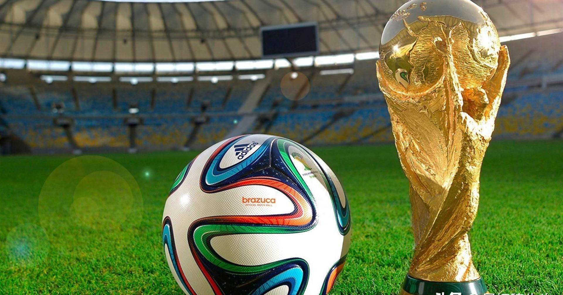 优秀的运动 优秀的运动